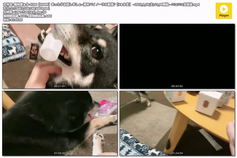 陽向葵ゅか ASMR直播 #206 | 周末双耳放松聊天 | niconico | 2025-09-20 2