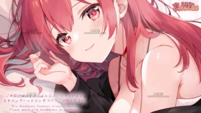 たなか：居家服主题的水音与揉捏助眠，黑3Dio沉浸式耳边杂谈 (2026.04.09)