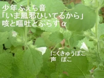 [RJ136923] 少年恋声癖：我现在感冒了 咳嗽与呕吐及其他